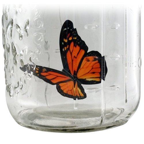 My Butterfly Collection Animated Butterfly in a Jar Monarch New eBay