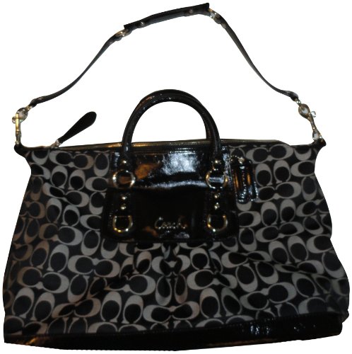 Women's Coach Purse Handbag Ashley Signature 