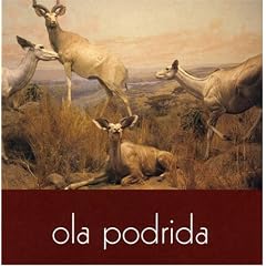 Cover Album
