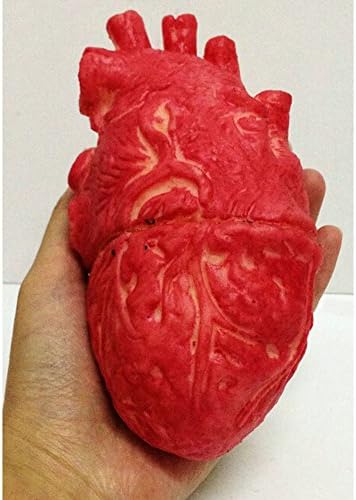 Newlife528 Halloween Simulation Bloody Heart Fake Organ Party Horror Decoration