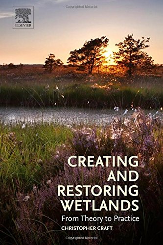 Creating and Restoring Wetlands: From Theory to Practice