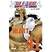 Bleach, Tome 41 :