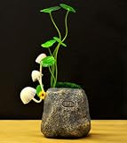 LED, Jeu de lumière, veilleuse de champignon, lumière dodo, veilleuse décorative, lampe de table, ELL11-Sch