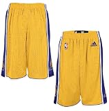 Adidas Los Angeles Lakers Youth Replica Basketball Shorts (L=14-16)