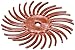 Cubitron Scotch-Brite Radial Bristle Disc, 3/4 in x 1/16 in 220