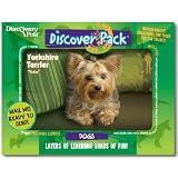 Dog Discover Pack, Yorkshire Terrier