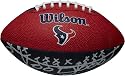 Houston Texans Team Logo Mini Football