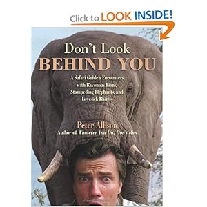 Don't Look Behind You - Peter Allison