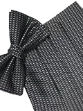 Cardi Mens Freedom Asphalt Silk Woven Tuxedo Bowtie and Cummerbund