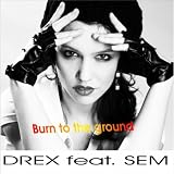 Burn to the Ground (feat. Sem)