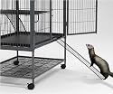 Midwest Ferret Nation Exterior Ramp