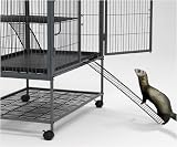 Pet Supplies : Midwest Ferret Nation Exterior Ramp