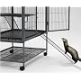 Midwest Ferret Nation Exterior Ramp