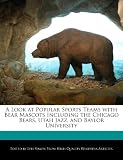 A Look at Popular Sports Teams with Bear Mascots Including the Chicago Bears, Utah Jazz, and Baylor University