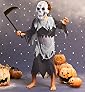 Halloween Grim Reaper Outfit with Mask & Scythe
