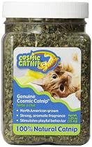 OurPets Premium North-American Grown Catnip, 1-1/4-Ounce Jar
