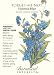 "Victoria Blue" Forget-Me-Not Seeds