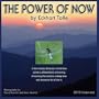 The Power of Now 2010 Wall Calendar