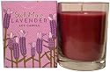 Stella Mare Lavender Natural Soy Candle 5 Ounces In Glass