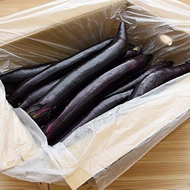九州産 (熊本) 長なす 1ケース 18本 長茄子 新鮮 産地直送