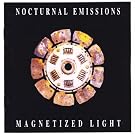 Magnetized Light