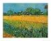 View of Arles with Irises in the Foreground, c.1888 by Vincent Van Gogh. Size 27.05 inches width by 19.41 inches height. High Quality Art Poster Print