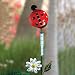 Ladybug Rain Gauge