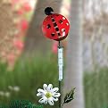 Ladybug Rain Gauge