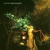 Bild des Albums von Califone