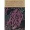 Resources for mushroom ID, especially geared to the southeastern US