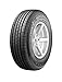 Radar Tires Rivera GT-10 All-Season Radial Tire - 265/75R16 114S