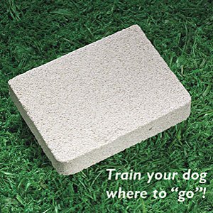 Image #1 of Puppy Potty Training