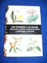 Las Plantas y La Salud (Spanish Edition)