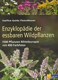 Enzyklop&auml;die der essbaren Wildpflanzen: 1500 Pflanzen Mitteleuropas - Steffen Guido Fleischhauer
