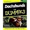 for the Dachshund lover