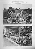 Mikado'S Garden Tolio, Fruit Shop Japan Antique Print