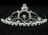 Bridal Flower Girl Prom Comb T50