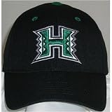 Hawaii Rainbows Adult One-Fit Hat by Top of the World
