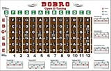 Dobro Fretboard Chart Resonator Guitar Poster - E Tuning