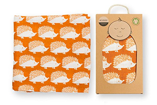 swaddle – remudaschancellorships