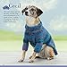 Seamless Knits for Posh Pups