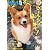 wan (ワン) 2012年 05月号 [雑誌]