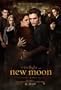 The Twilight Saga: New Moon Poster D 27x40 Kristen Stewart Robert Pattinson Taylor Lautner
