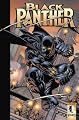 Black Panther: Enemy Of The State TPB