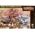 AXIS & ALLIES ANNIVERSARY EDITION