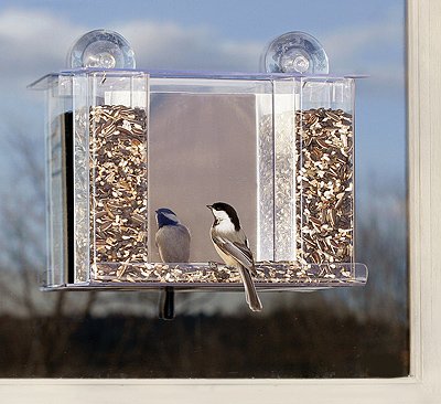 Duncraft 74505 Super Songbird Bird Feeder