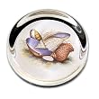 Seashells - Small Round Glass Paperweight