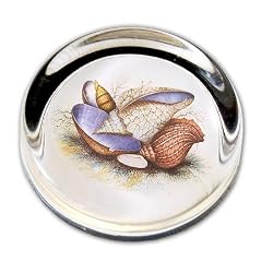 Seashells - Small Round Glass Paperweight