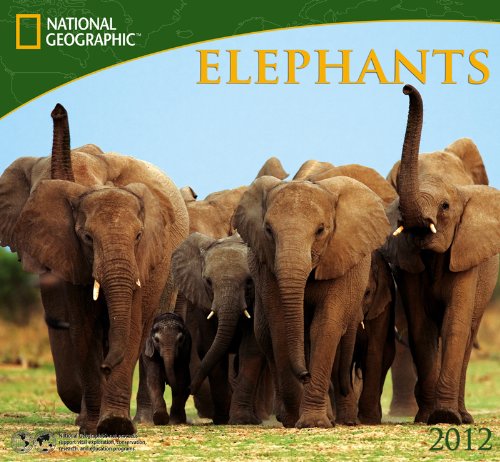 2012 Elephants - National Wall calendar
