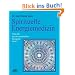 Spirituelle Energiemedizin. Atlas der psychosomatischen Energetik Band 2